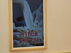 -红星前进面包牛奶公司(畅春园店)
