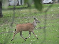 -西安秦岭野生动物园