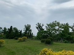 -金石滩蓝莓谷庄园