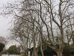 -采石矶景区