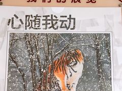 -星云文教馆