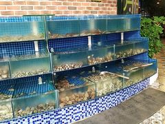 水产区-蟹谢蒸鲜自助餐厅