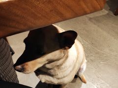 -Cactus墨西哥仙人掌餐厅