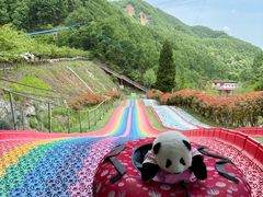 -栾川竹海野生动物园