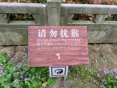 -句容茅山景区