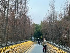 -福道