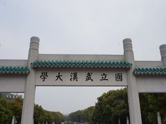 -武汉大学-樱园