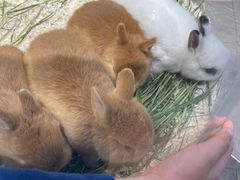 -龙猫仔乐园(惠福东路店)