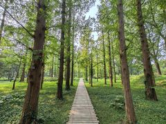 -国家植物园南园