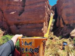 -张掖平山湖大峡谷