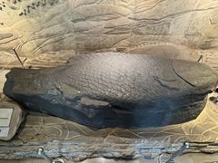 -白鹤梁水下博物馆