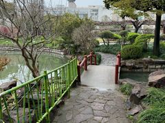 -嘉定紫藤园