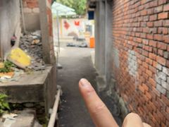 -食神又名厕所兔