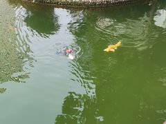 -上海虹桥宾馆(郁锦香品牌酒店)