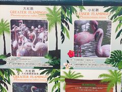 景点-九龙公园