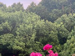 -杭州香格里拉·香宫中餐厅