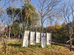 -贡湖湾湿地公园