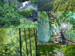-莫干山风景区