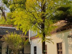 -岳麓山风景名胜区