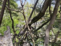 -绮园景区