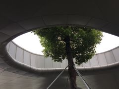 -桐乡凤凰湖