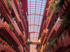 -二酉书店TOYOU BOOKS