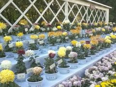 iphone_upload_pic-迎泽公园