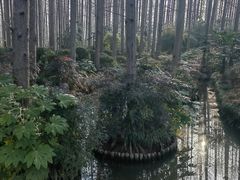 -上海怡沁园度假酒店