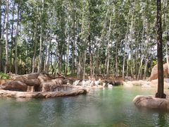 -北京野生动物园