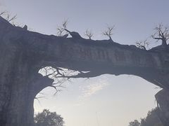 -麻城大别山桐枧冲瀑布群风景区