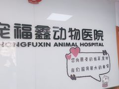 -宠福鑫动物医院(城北分院)