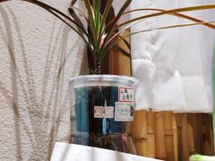 -千叶寿司创意融合料理(水韵城店)