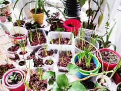 -才儿坊幼儿园(重庆金科廊桥校区)