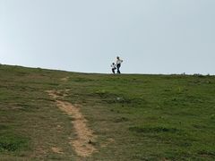-大姆山草场
