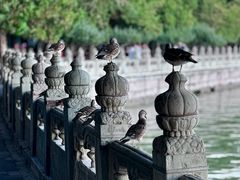 -颐和园