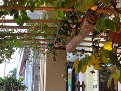 -朕悦鹧鸪饭私房菜