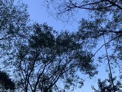 -济南喜来登酒店