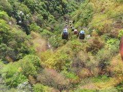 -王顺山国家森林公园