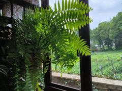 -野蔓果·山野菜(西湖景区·龙井茶田店)