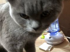 -北京稻香村(花市店)