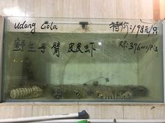 菜单-海盗餐厅