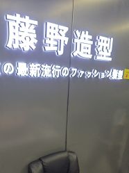 -藤野造型烫发染发