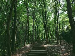 -九曜山