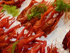龙虾-咖啡苑 - 蔚藍夏日限定主题(永利皇宫店)