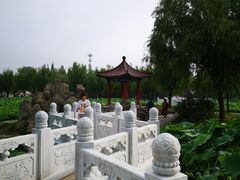 -莱西月湖公园