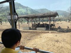 -西安秦岭野生动物园