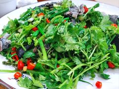 盐边坨坨鸡肉-攀西土菜馆(南线阁店)
