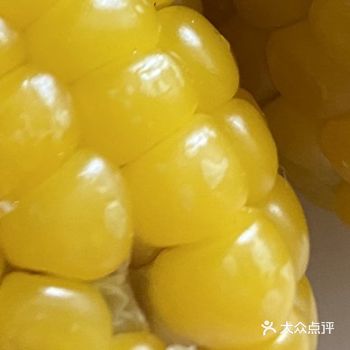 太用力的人走不远。朋友,放轻松点吧。人间一场,信马由缰