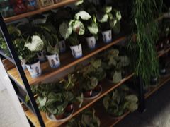 -物美综合超市(旧宫店)