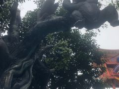 -厦门方特水上乐园